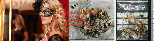 spice Михайлов