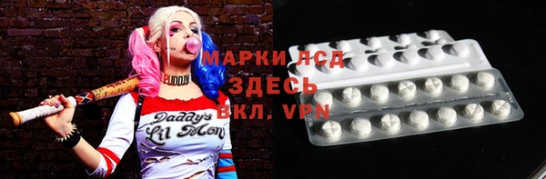 прущие грибы Михайловск
