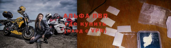прущие грибы Михайловск