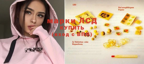 прущие грибы Михайловск