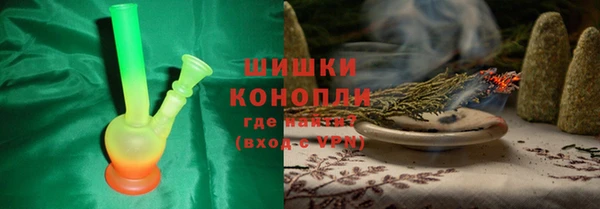 прущие грибы Михайловск