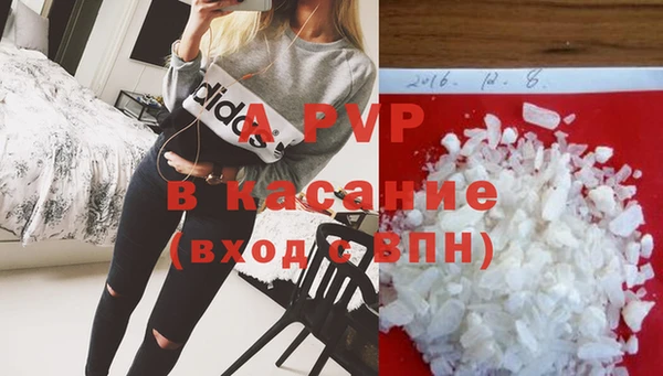 прущие грибы Михайловск