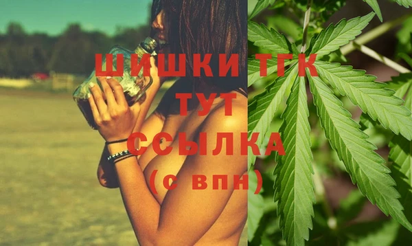 spice Михайлов