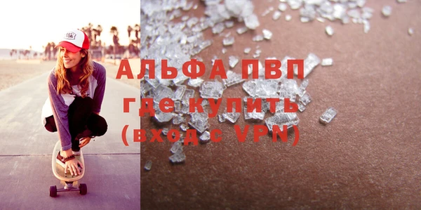 прущие грибы Михайловск