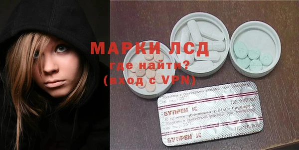 прущие грибы Михайловск
