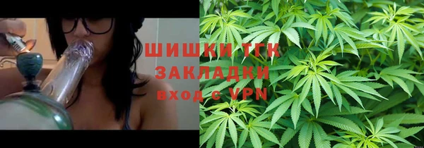 прущие грибы Михайловск