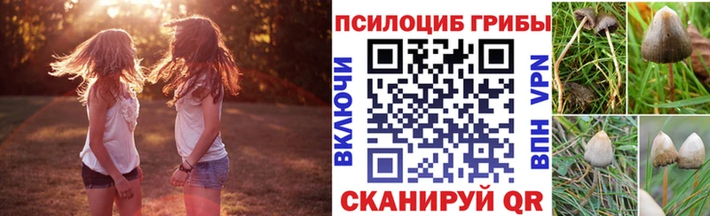 Псилоцибиновые грибы Cubensis  дарнет шоп  Шали 